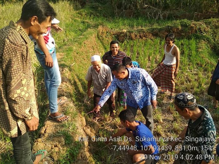 GERAKAN PENGENDALIAN HAMA TIKUS SAWAH