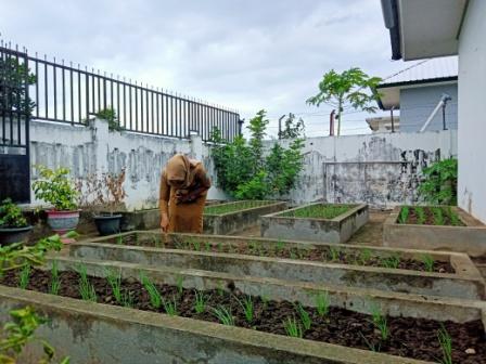  Bpp Ujung Berhasil Mengembangkan Bawang Merah Organik 