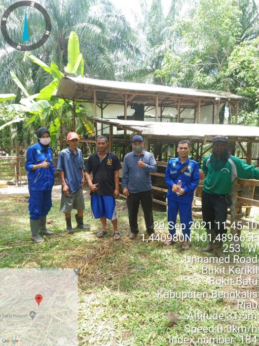 PPL Desa Bukit Kerikil Dampingi Tim Pemeriksa Kesehatan Ternak Kecamatan Bandar Laksamana, Bengkalis