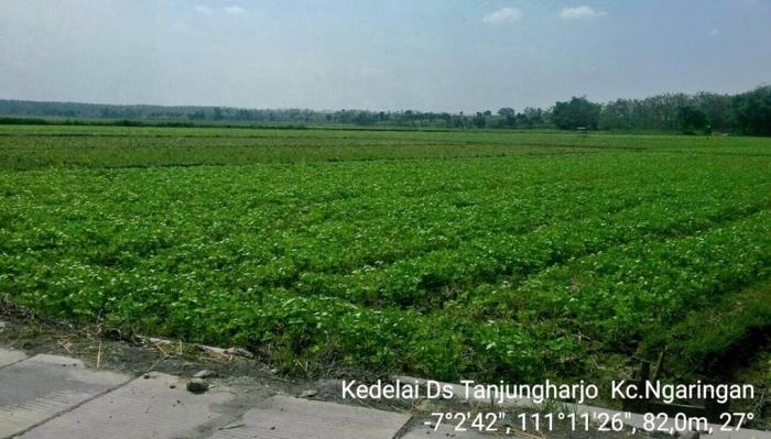 DADIH, YOGURTNYA ORANG MINANGKABAU