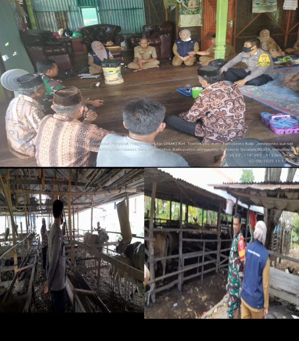 Komunikasi, Informasi Dan Edukasi (kie) Penyakit Mulut Dan Kuku Di Kecamatan Tamalatea