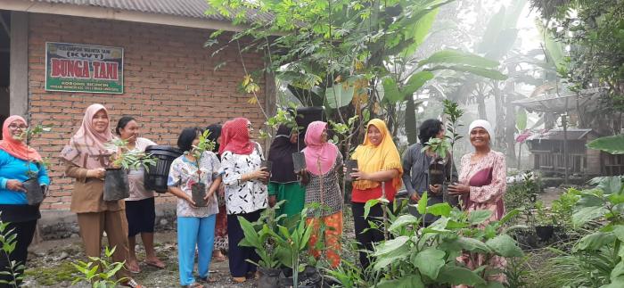 Pemanfaatan Lahan Pekarangan