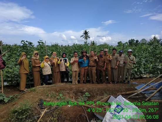 Anjangsana Penyuluh Pertanian Provinsi Bengkulu Ke Wilayah Kerja BPP Sukarami Kabupaten Seluma 