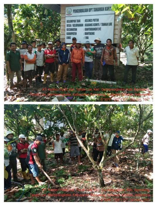 Pertemuan Kelompok Tani Kelinci Putih Kelurahan Tanah Loe, Kecamatan Gantarangkeke, Kabupaten Bantaeng. 