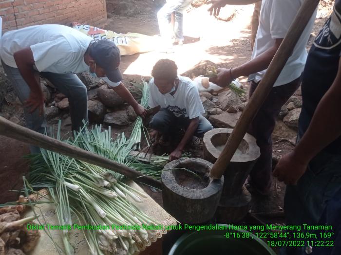 Cara Pembuatan Dan Aplikasi Pesnab (daun Nimba, Sereh, Lengkuas)