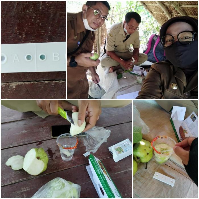 UJI PANGAN SEGAR BUAH (JAMBU KRISTAL) TERHADAP RESIDU PESTISIDA KIMIA DI KECAMATAN TRUCUK