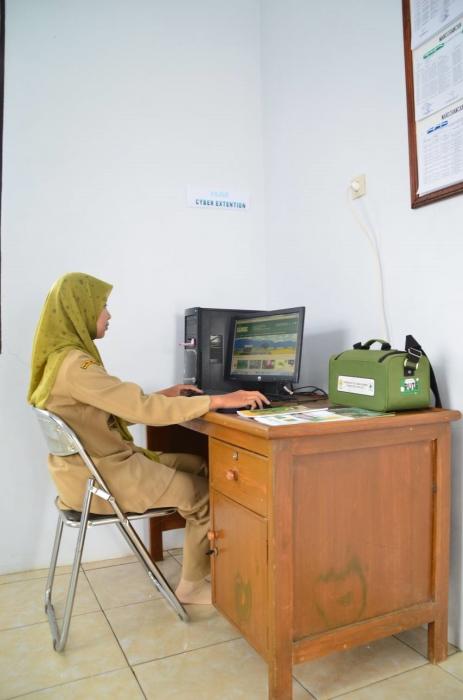 PENANGANAN PASCA PANEN MANGGIS UNTUK MENINGKATKAN NILAI JUAL