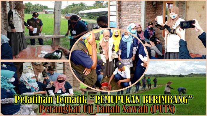Puluhan Penyuluh Pertanian Mahir Teknologi Uji Tanah Sawah