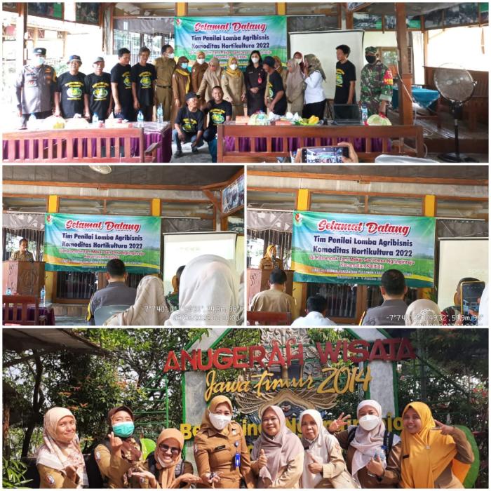 PENILAIAN LAPANGAN LOMBA AGRIBISNIS TANAMAN PANGAN DAN HORTIKULTURA TINGKAT PROVINSI JAWA TIMUR TAHUN 2022 