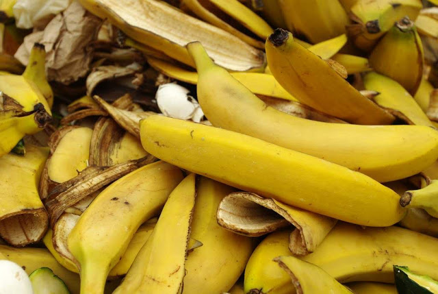 Pakan Fermentasi Pada Ternak Kambing Berbahan Dasar Kulit Pisang