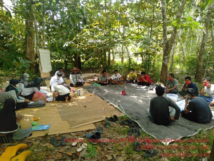 PELATIHAN PENGENDALIAN JAMUR AKAR PUTIH (JAP) DAN PENGENDALIAN KERING ALUR SADAP (KAS)PADA TANAMAN KARET DI DESA PAMPANAN