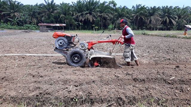 Manfaat Alsintan Dalam Meningkatkan Kesejahteraan Petani