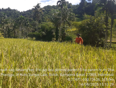Tingkat Adopsi PTS Petani 