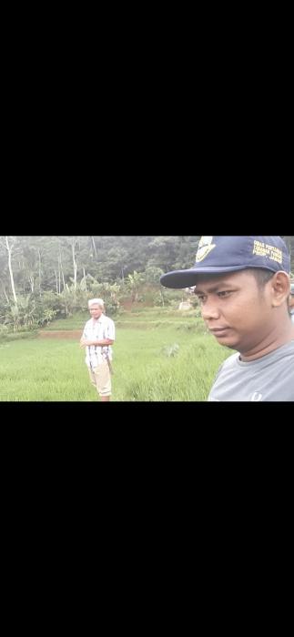 Pengontrolan tanaman