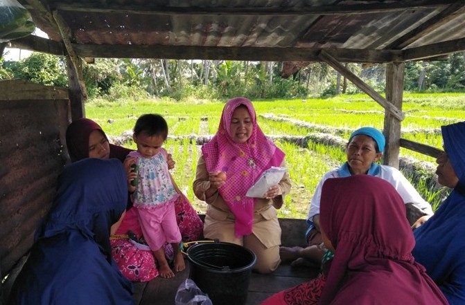 Seleksi Benih Padi Sawah