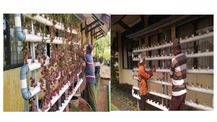 PENINGKATAN NILAI TAMBAH  RUMAH TANGGA MELALUI PEMANFAATAN PEKARANGAN RUMAH DENGAN TEKHNIK BUDIDAYA HIDROPONIK