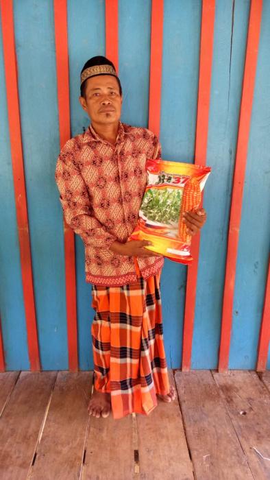 Penyaluran Bantuan Benih Jagung Hibrida JH 37 di Kecamatan Suli Kabupaten Luwu Tahun 2020