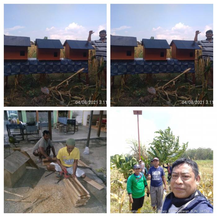 MENDIRIKAN RUBUHA (RUMAH BURUNG HANTU) DESA BEJI KECAMATAN KEDEWAN KABUPATEN BOJONEGORO