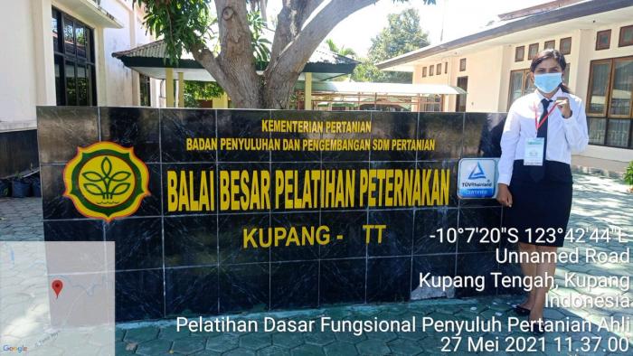 Generasi Penyuluh Pertanian Asal Malaka Mengikuti Pelatihan Fungsional Ahli Pertanian