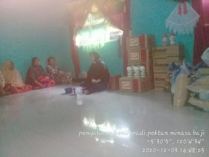 Seleksi Benih Padi di poktan Minasa Baji, Desa Bajiminasa, Kec. Gantarangkeke, Kab. Bantaeng