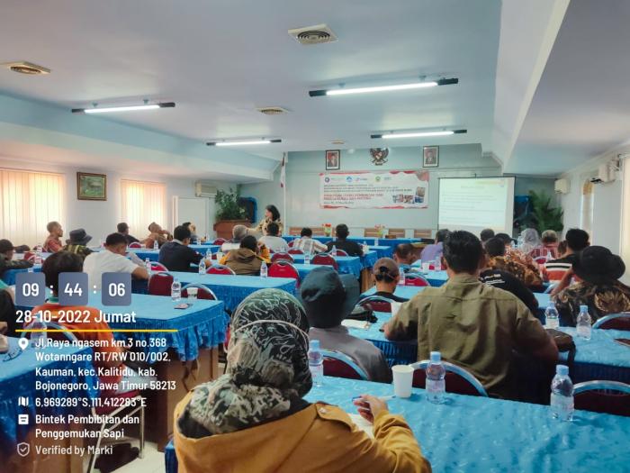 BINTEK PEMBIBITAN DAN PENGGEMUKAN SAPI POTONG DINAS P4 & IPB DI BLORA 