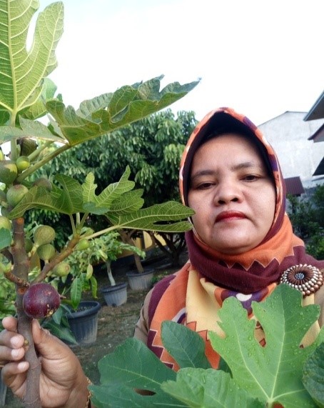 BUAH TIN : DARI SURGA UNTUK SEMUA