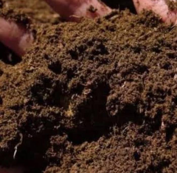 Pemanfaatan Limbah Pertanian Menjadi Tricho Kompos  oleh:  Muliati, SP/Penyuluh Pertanian Pelaksana