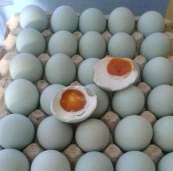 MANFAT TELUR BEBEK