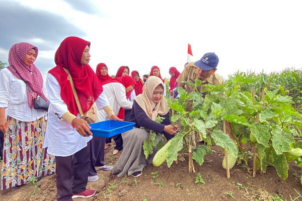Upaya Memberdayakan Petani Dalam Pembangunan Pertanian Berkelanjutan  Di Kabupaten Tegal