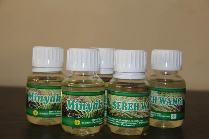 Budidaya Seraiwangi
