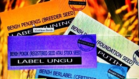 Cara Mengetahui Perbendaan Dedak dan Bekatul