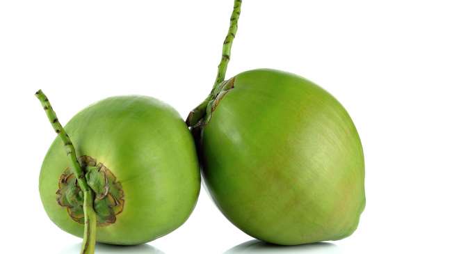 PESTISIDA NABATI DARI TEMBAKAU
