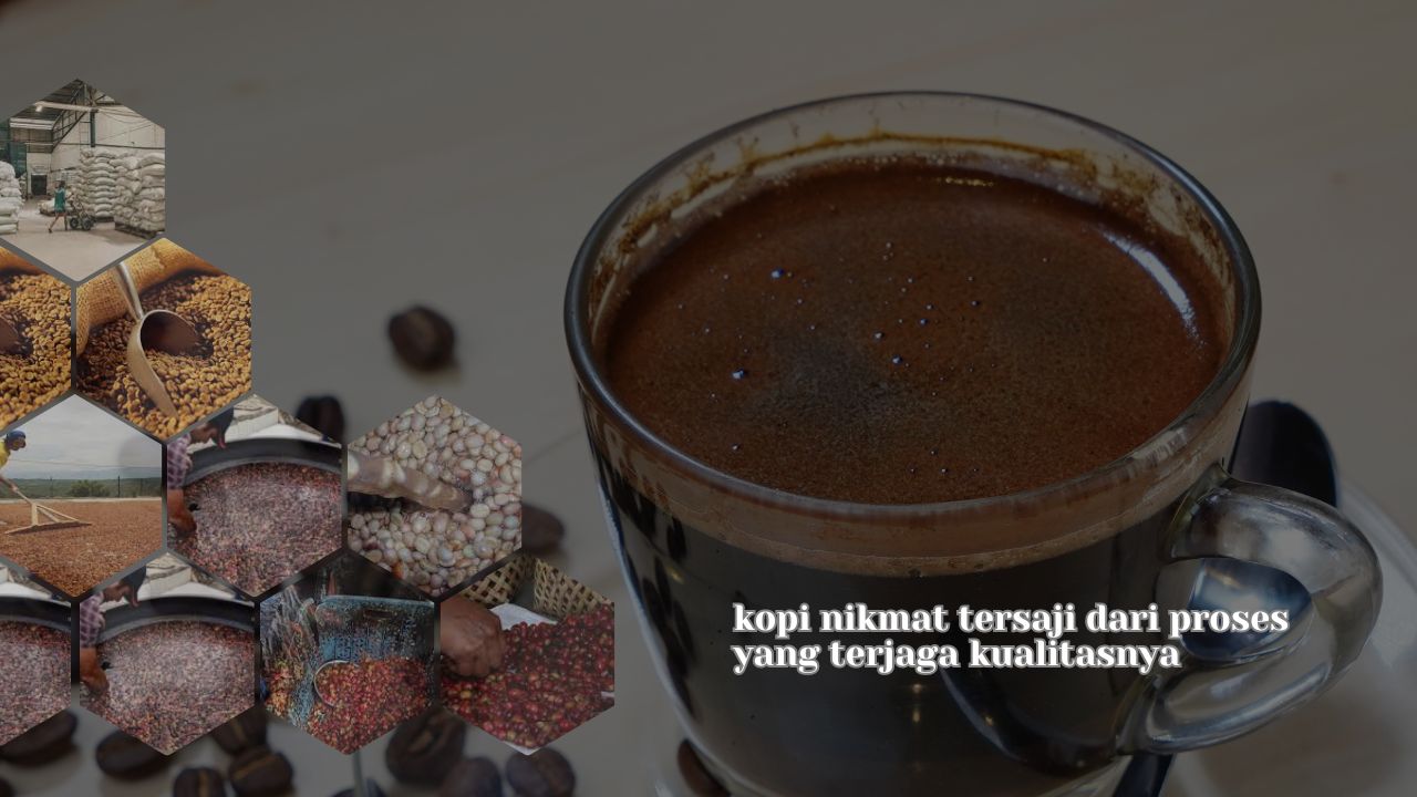 Mengapa Perlu Diversifikasi Pangan Dan Apa Peran Penyuluh Untuk Itu