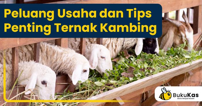 PUPUK HAYATI SOLUSI MENGURANGI  KEBUTUHAN PUPUK KIMIA