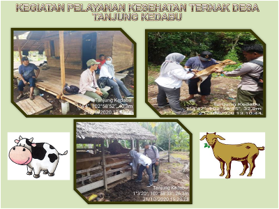KEGIATAN PELAYANAN KESEHATAN TERNAK DESA TANJUNG KEDABU 