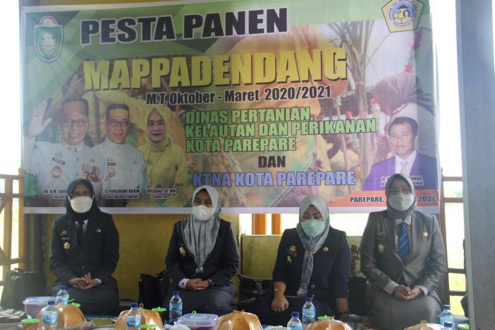 PESTA PANEN "MAPPADENDANG"