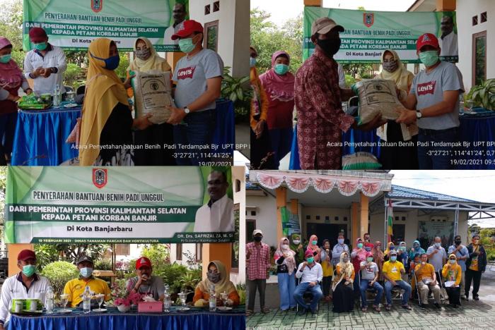Antusiasnya Petani Mendapatkan Bantuan Benih Unggul Dari Pemerintah Provinsi Kalimantan Selatan