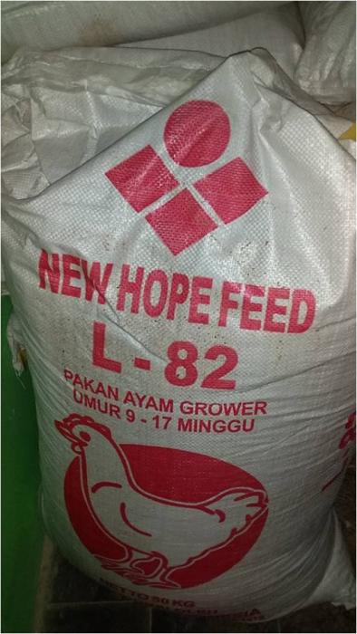 Sistim Pemeliharaan Ayam KUB