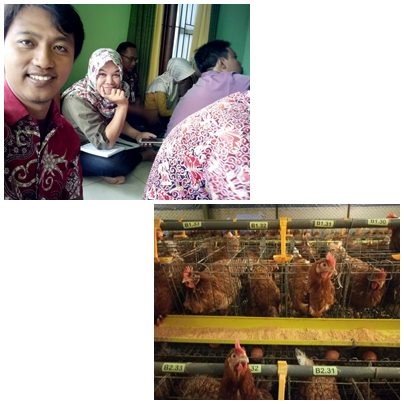 Penanggulanan penyakit Newcatle Disease (ND) di Kecamatan Padas Kabupaten Ngawi