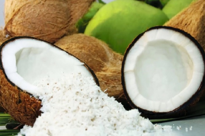 Pengaruh Jarak  Tanam dan Pemberian Mulsa Terhadap Produksi Tanaman Kedelai 