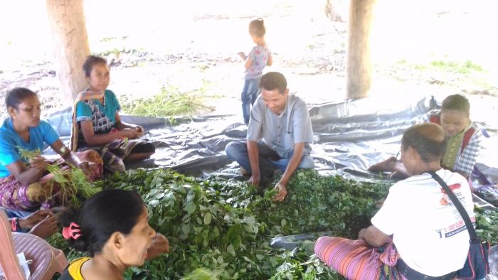 PEMBUATAN PUPUK BOKASIH ORGANIK  BAGI PETANI