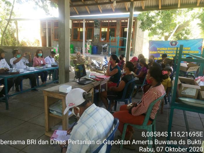 SOSIALISASI PEMBIAYAAN USAHA TANI DI GAPOKTAN AMERTA BUWANA DESA BUKTI  KEC. KUBUTAMBAHAN KAB. BULELENG 