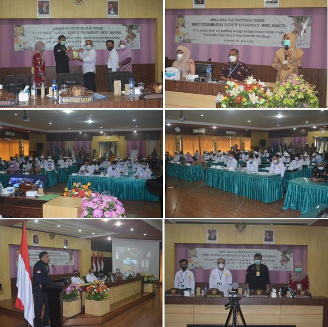 SOSIALISASI DAN BIMBINGAN TEKNIS RISET PENGEMBANGAN INOVATIF KOLABRATIF (RPIK) MANGGA 