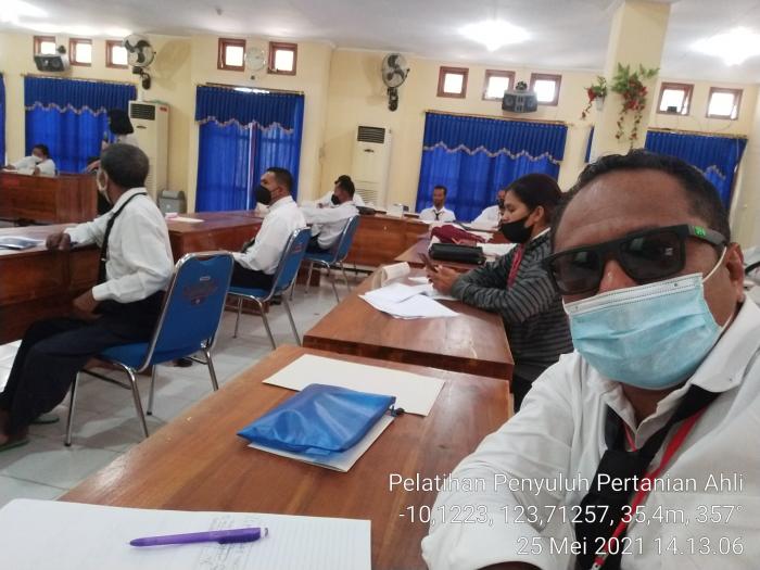 Bbpp Kupang Laksanakan Pelatihan Fungsional Penyuluh Pertanian Ahli