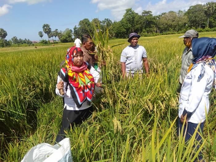  PENGAMBILAN UBINAN DI KEC. TANETE RIATTANG BARAT