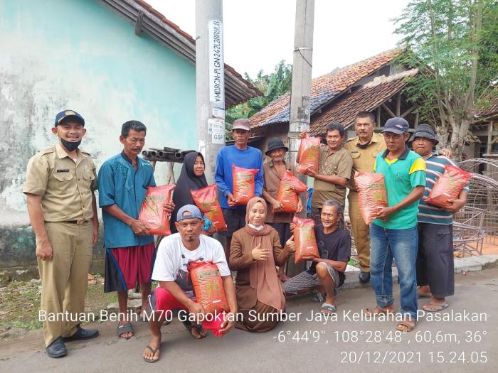 Persepsi Petani Terhadap Benih Padi Varietas M70d Di Kelurahan Pasalakan Kec. Sumber Kab. Cirebon