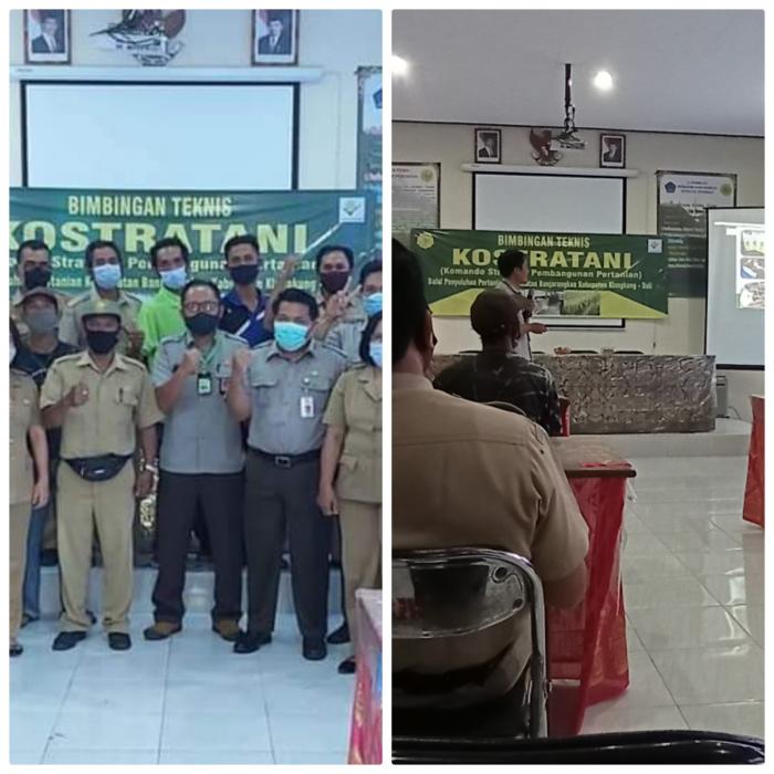 Bimtek Produksi Benih Padi Bermutu