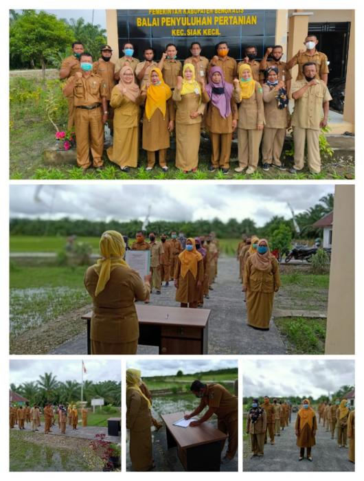 IKRAR NETRALITAS PENYULUH PERTANIAN PADA PILKADA SERENTAK TAHUN 2020  DI BPP SIAK KECIL KAB. BENGKALIS