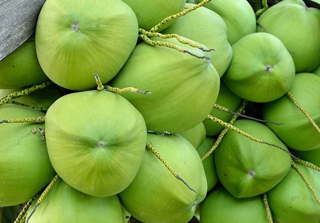 Membangun Kelembagaan Petani Lada