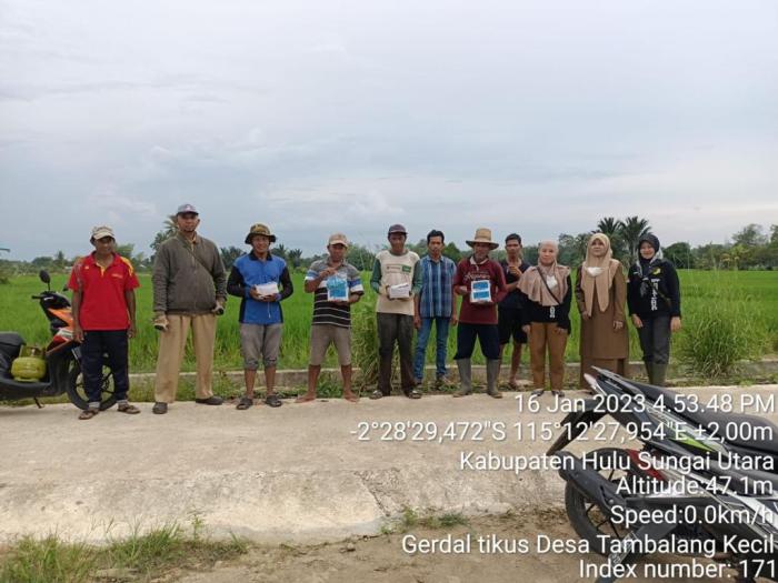 Gerakan Pengendalian Hama Tikus di desa Tambalang Kecil Kecamatan Sungai Pandan